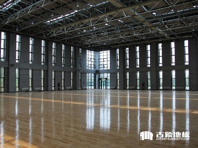 開學季神獸歸籠，體育館地板也要健康環保